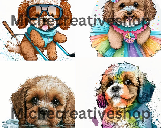 DOG CAVOODLE CUTE colourful dogs doing different hobbies